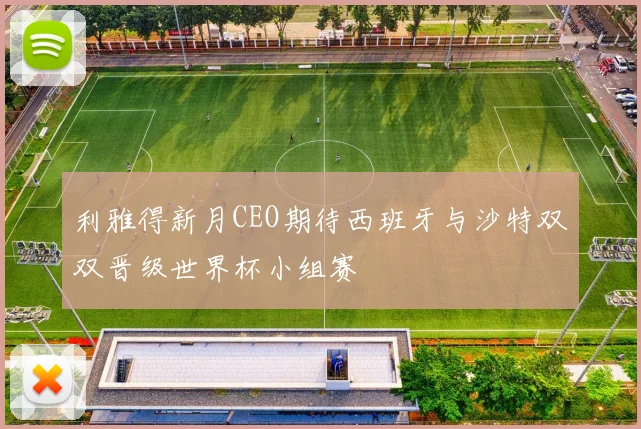利雅得新月CEO期待西班牙与沙特双双晋级世界杯小组赛